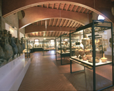 Museum Lido di Spina