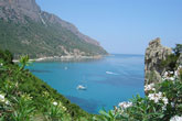 Macchia groeit ook aan de kust, Sardinië