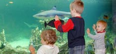 Het Acquario di Genova Kinderplezier dagje uit in Italie