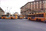Stilstaande bussen in Bologna
