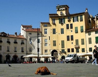 Toscana - Fotoverslag Luc Bosmans