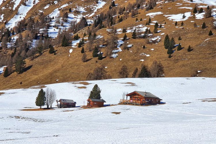 Wintersport in Val di Fiemme, Trentino, skigebied Bellamonte Alpe Lusia
