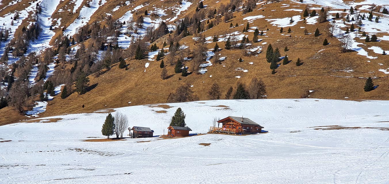 Wintersport in Val di Fiemme, Trentino, skigebied Bellamonte Alpe Lusia