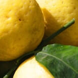Limoncello
