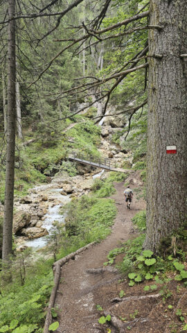 Cortina d'Ampezzo Gores de Federa © Claudia Zanin