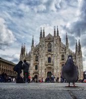Duomo Milaan © Claudia Zanin