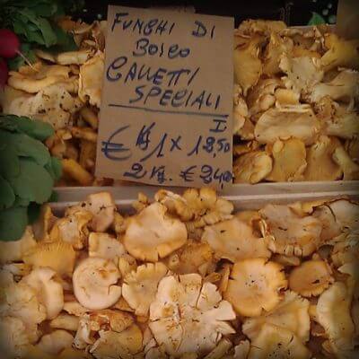 Salsa alla boscaiola