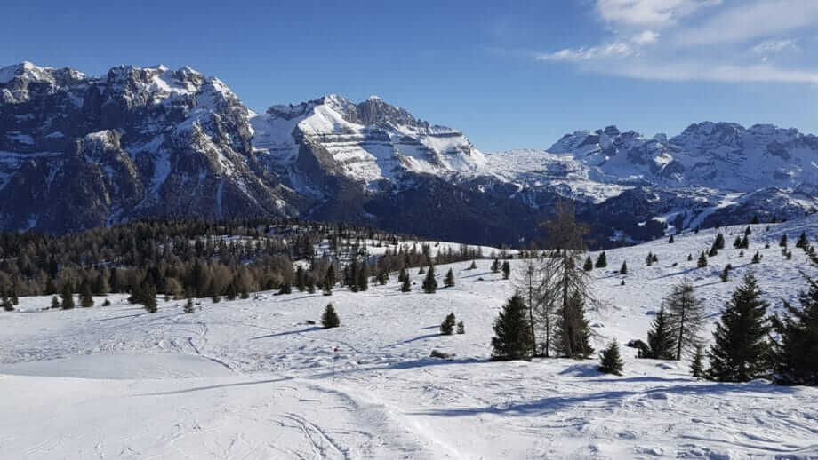 eigen koers voor Trentino Alto Adige