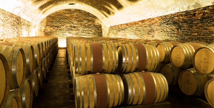 Monferrato wijnkelder © Claudia Zanin