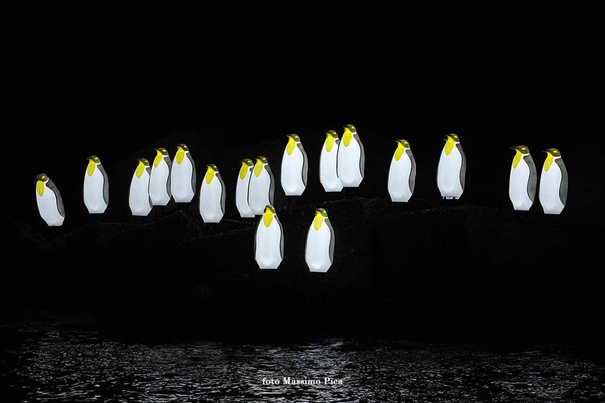 Pinguins, Luci d'artista, Salerno, foto Massimo Pica