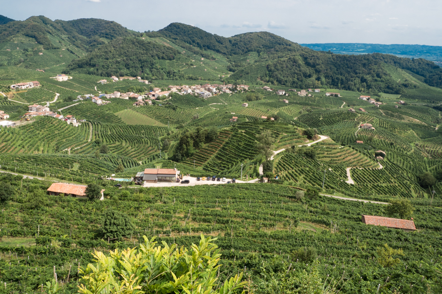 Wijn proeven in de Prosecco streek
