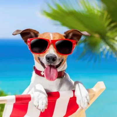 Reiskriebels? Boek een lastminute!