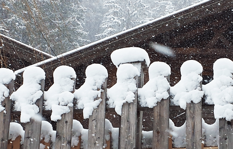 Sneeuw op een hek © Claudia Zanin