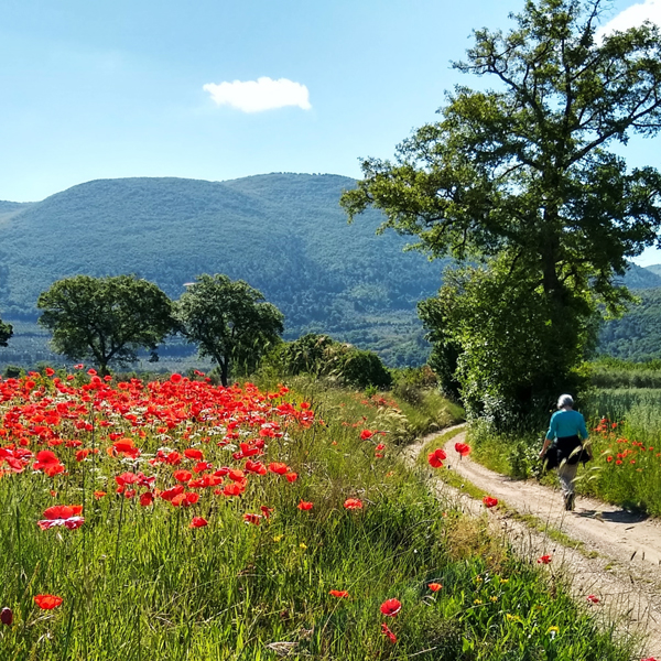 Wandelen in Umbrie © Meravigliosa Umbria