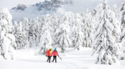 3 nieuwtjes Val di Fiemme wintersport 2022-2023