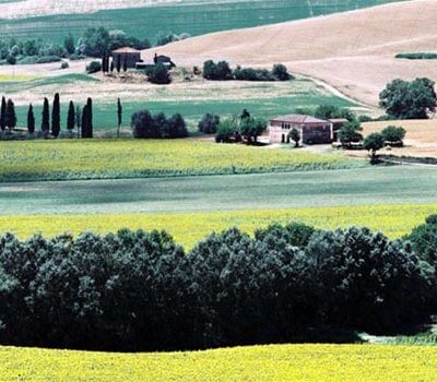 Vakantie in Toscane (Florence)